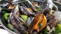 mussels-4375642_1920