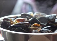 mussels-811759_1920